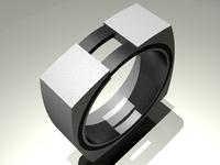 3d ontwerp ring in titanium